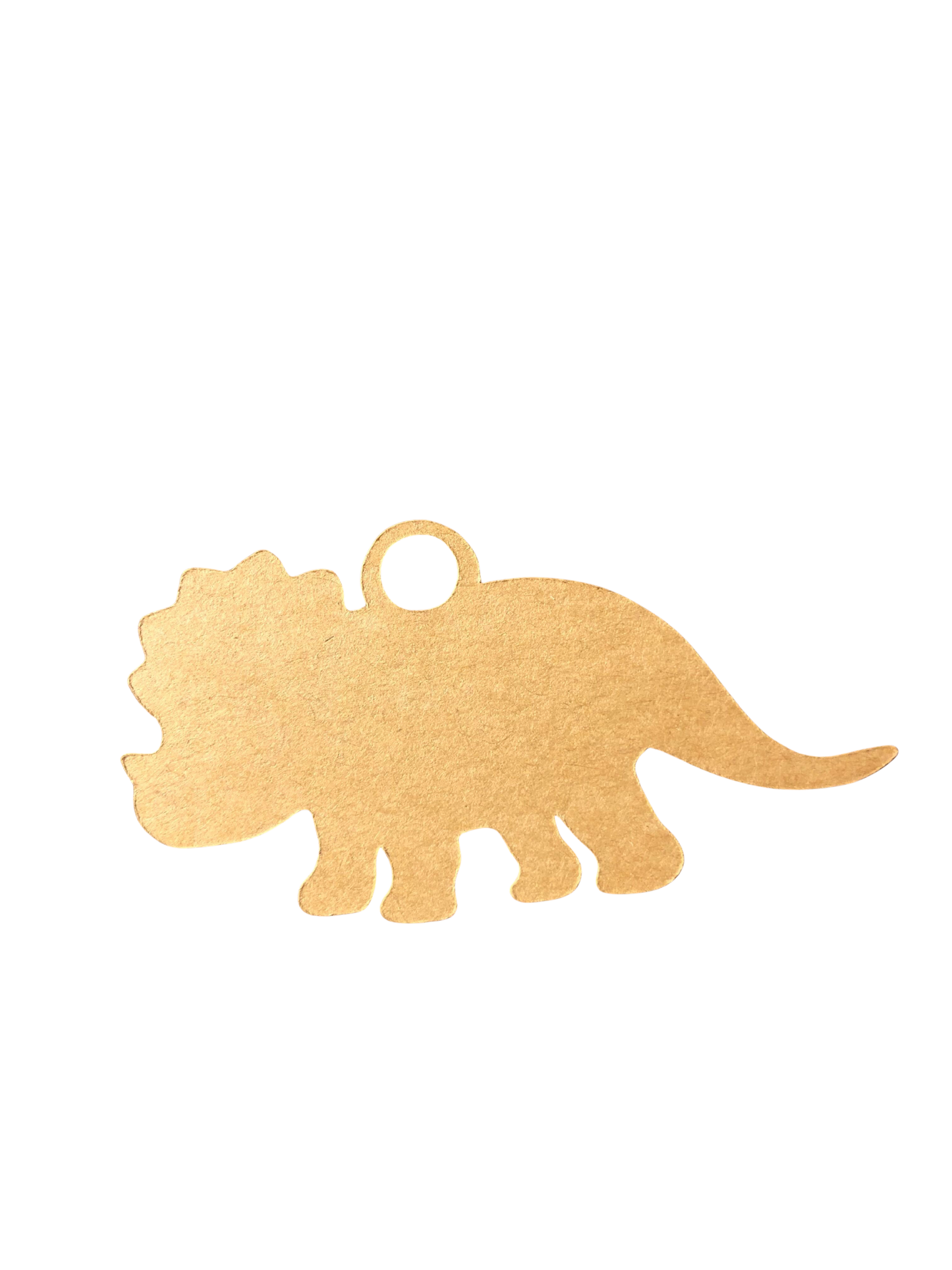 Gift Tag - Jurassic Classic Dinosaur